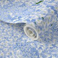 Hydrangea Blooms Wallpaper